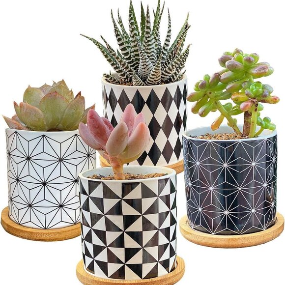 Other - 3 Inch Geometric Succulent Planter Pots with Drainage and Bamboo Tray